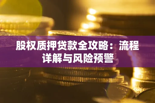 武汉股权质押贷款全攻略：流程详解与风险预警