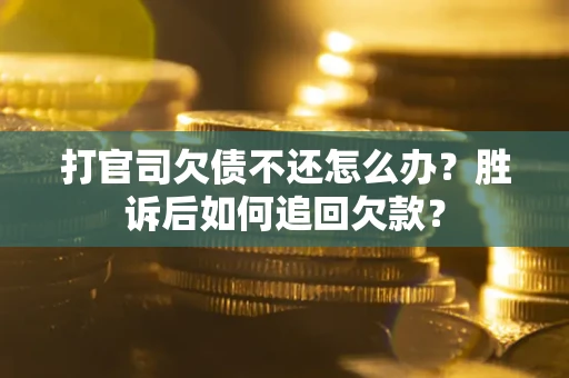 武汉打官司欠债不还怎么办？胜诉后如何追回欠款？