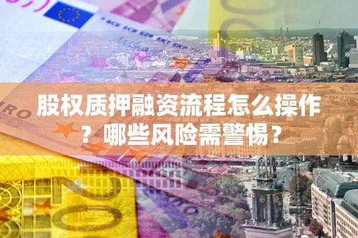 武汉股权质押融资流程怎么操作？哪些风险需警惕？