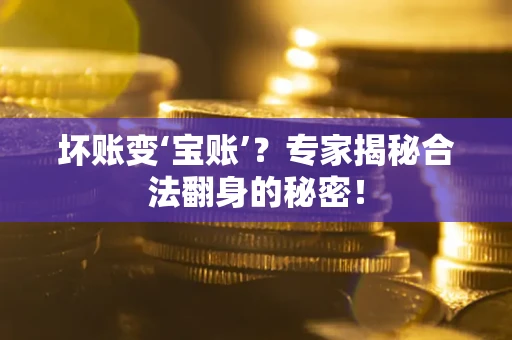 武汉坏账变‘宝账’？专家揭秘合法翻身的秘密！
