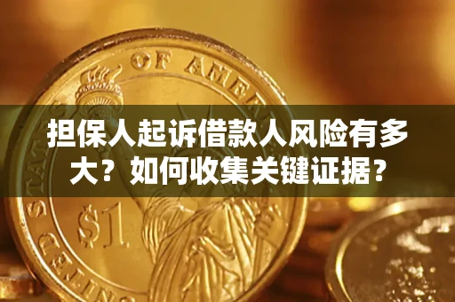 武汉担保人起诉借款人风险有多大？如何收集关键证据？