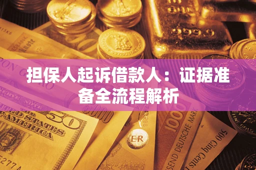 武汉担保人起诉借款人：证据准备全流程解析