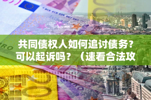 武汉共同债权人如何追讨债务？可以起诉吗？（速看合法攻略）