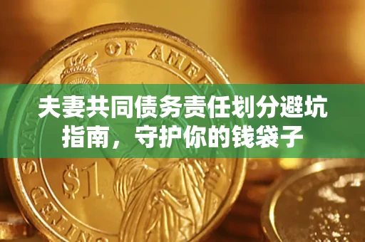武汉夫妻共同债务责任划分避坑指南，守护你的钱袋子