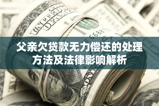 武汉父亲欠贷款无力偿还的处理方法及法律影响解析