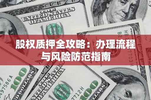 武汉股权质押全攻略：办理流程与风险防范指南