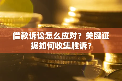 武汉借款诉讼怎么应对？关键证据如何收集胜诉？
